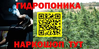 шишки Чебоксары
