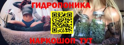 шишки Чебоксары