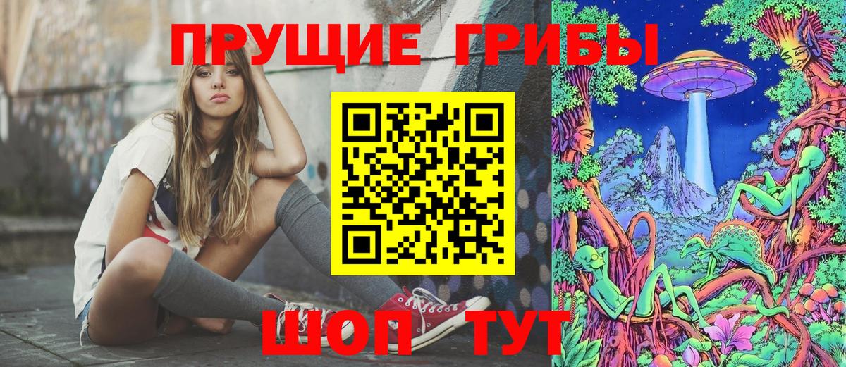 Гусь-Хрустальный  Псилоцибиновые грибы прущие грибы  Вход с VPN 