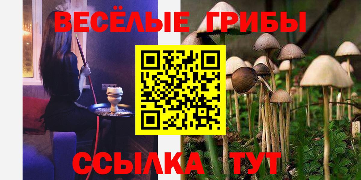 Псилоцибиновые грибы ЛСД Гусь-Хрустальный